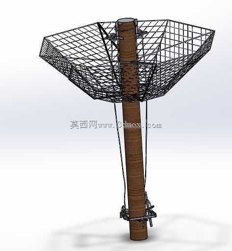 椰子坚果夹持装置