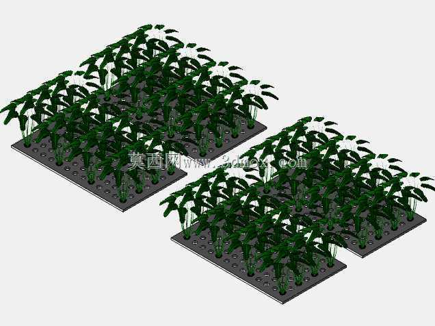 综合水生植物系统