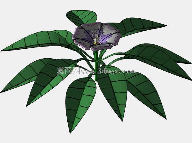 综合水生植物系统