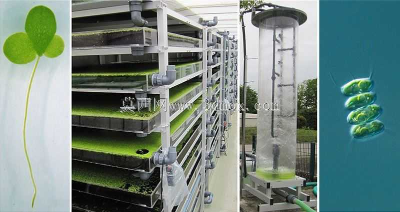 生物能源生产厂