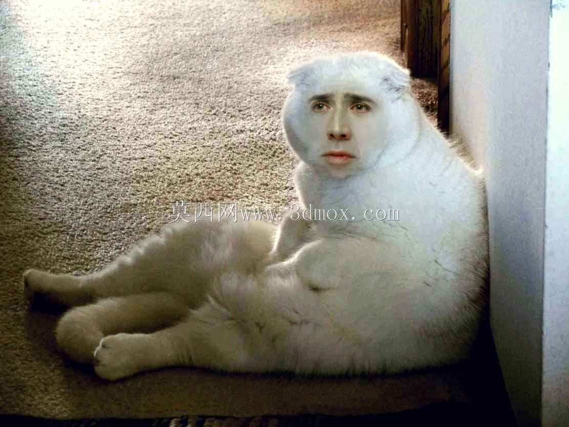 ��ͭ��е