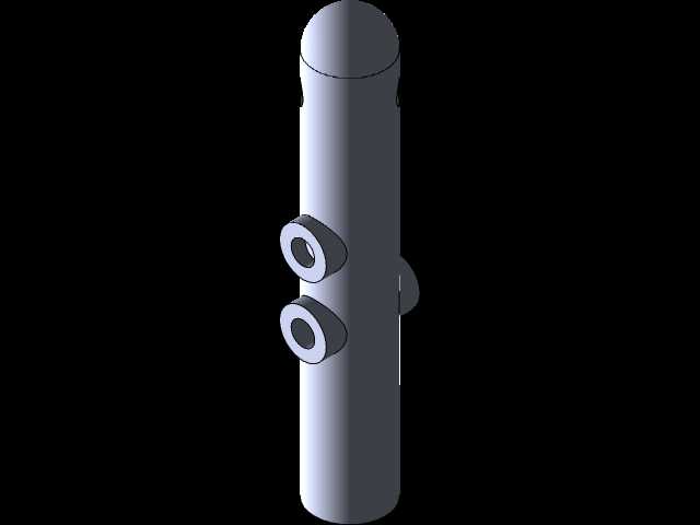 RCֱ����