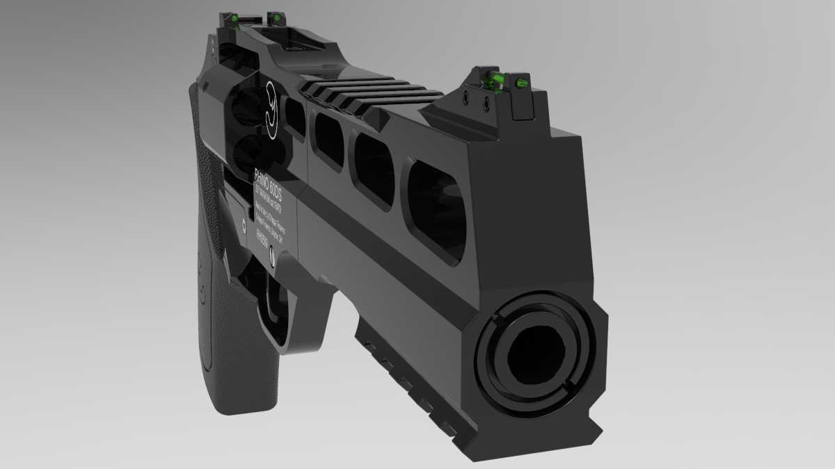 Chiappa Rhino 60DS������ǹ