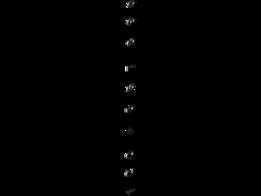 ʵ������