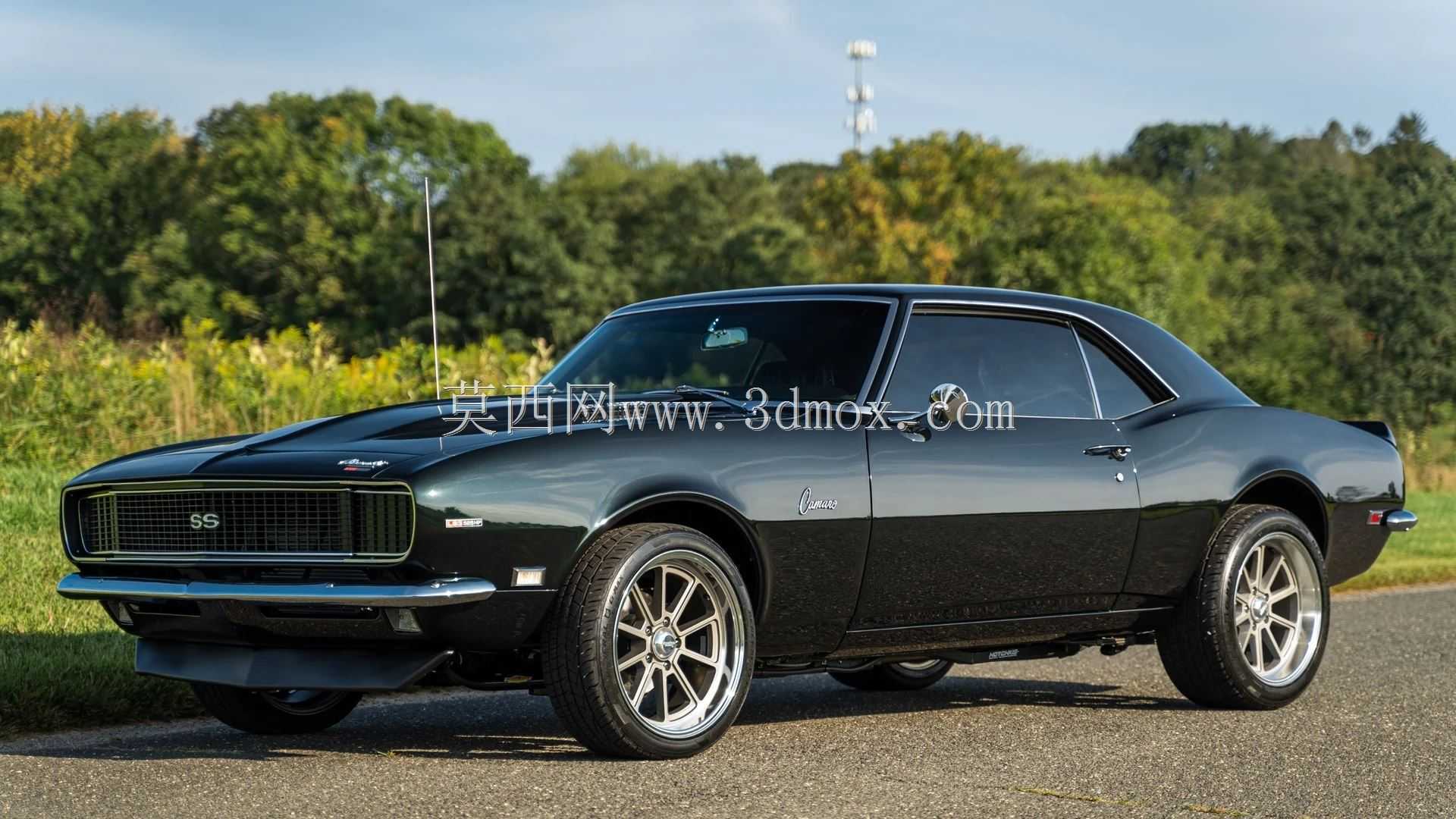 ѩ����������1968