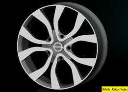 �ղ�Terrano�Ͻ���