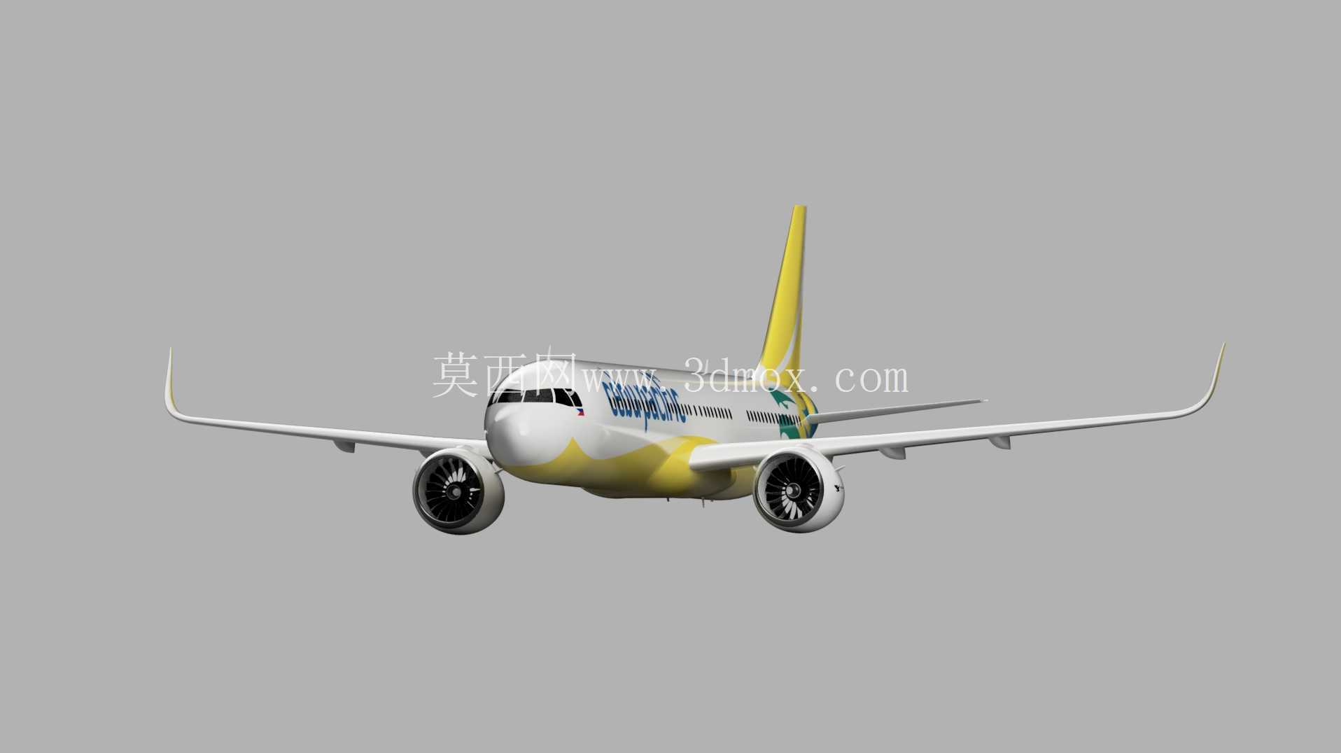 空中客车A321 NEO宿务太平洋船宿