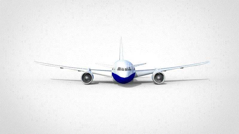 ���� 787 ����ͻ�