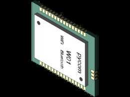 Pycom W01 OEM 模块