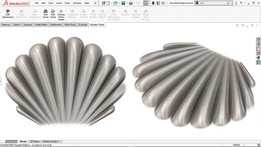 Sea Shell+��Ƶ�̳�