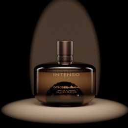 INTENSO��ˮ�żΰ���