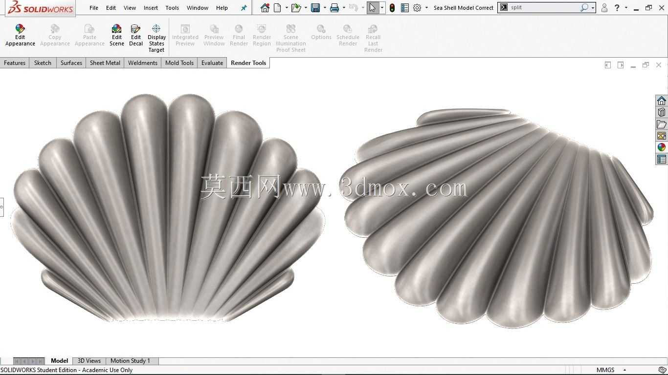 Sea Shell+视频教程
