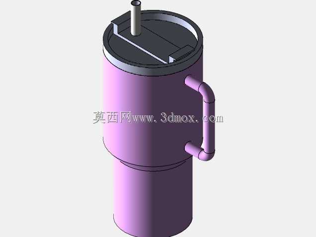 Stanley Tumbler