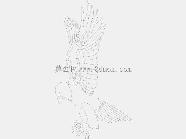 aigle