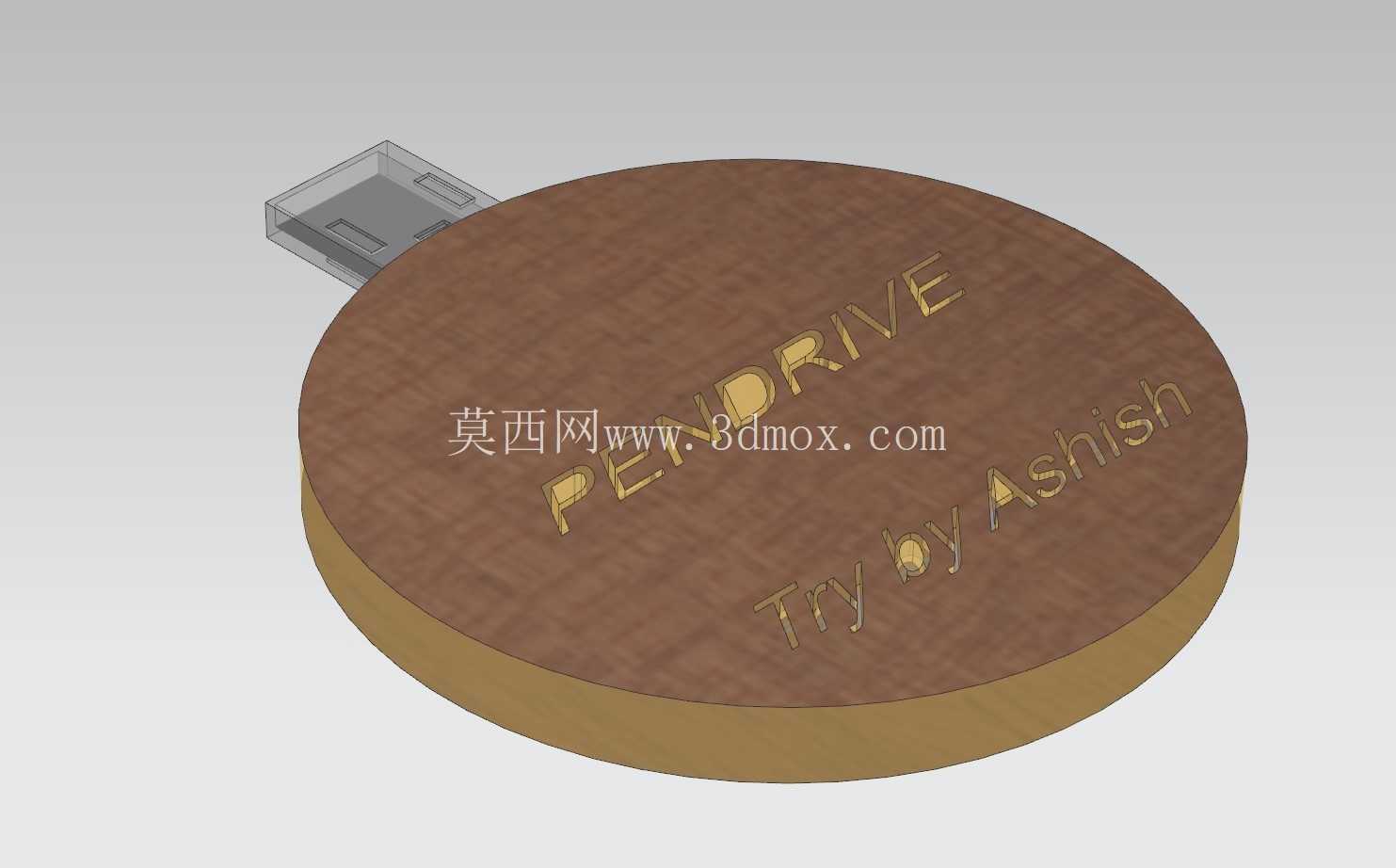 Circular_Pendrive ����������