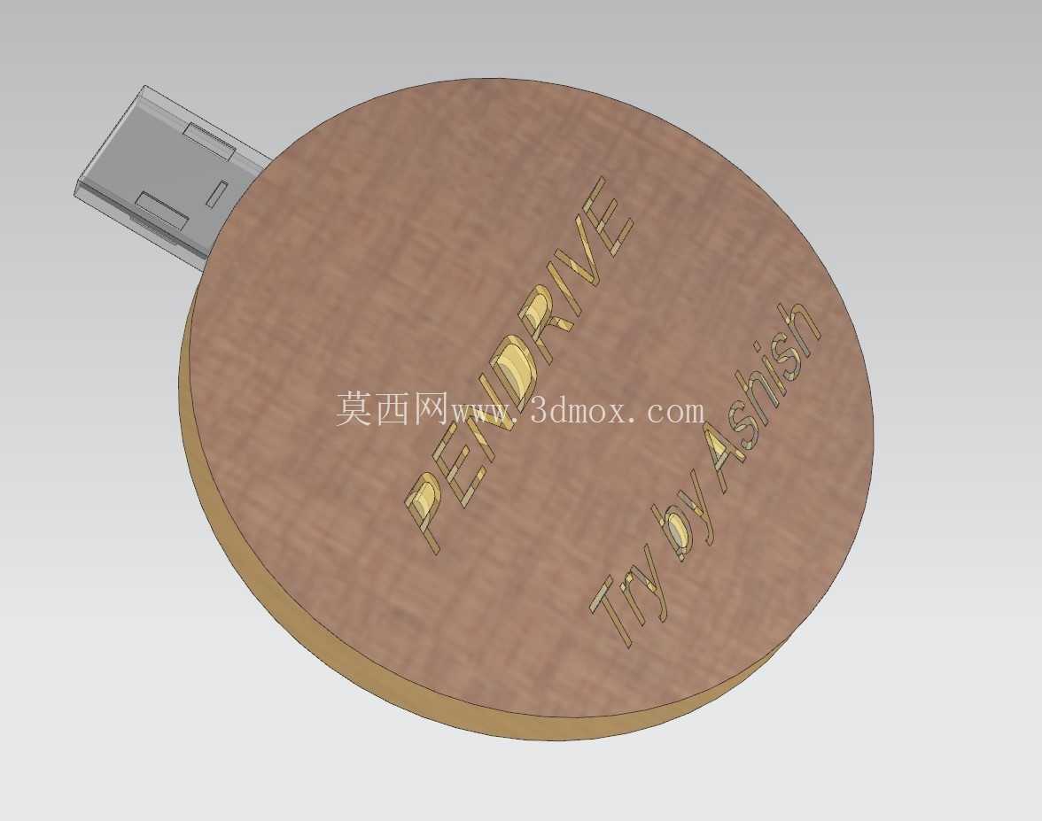 Circular_Pendrive ����������