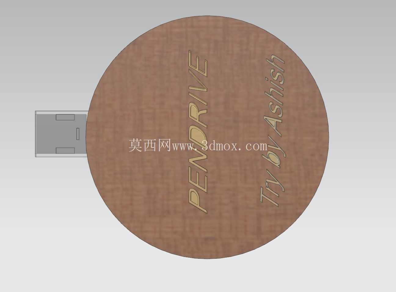 Circular_Pendrive ����������