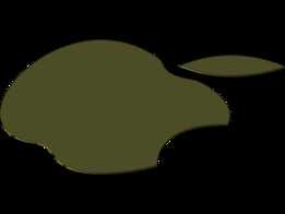 iPhone ��־