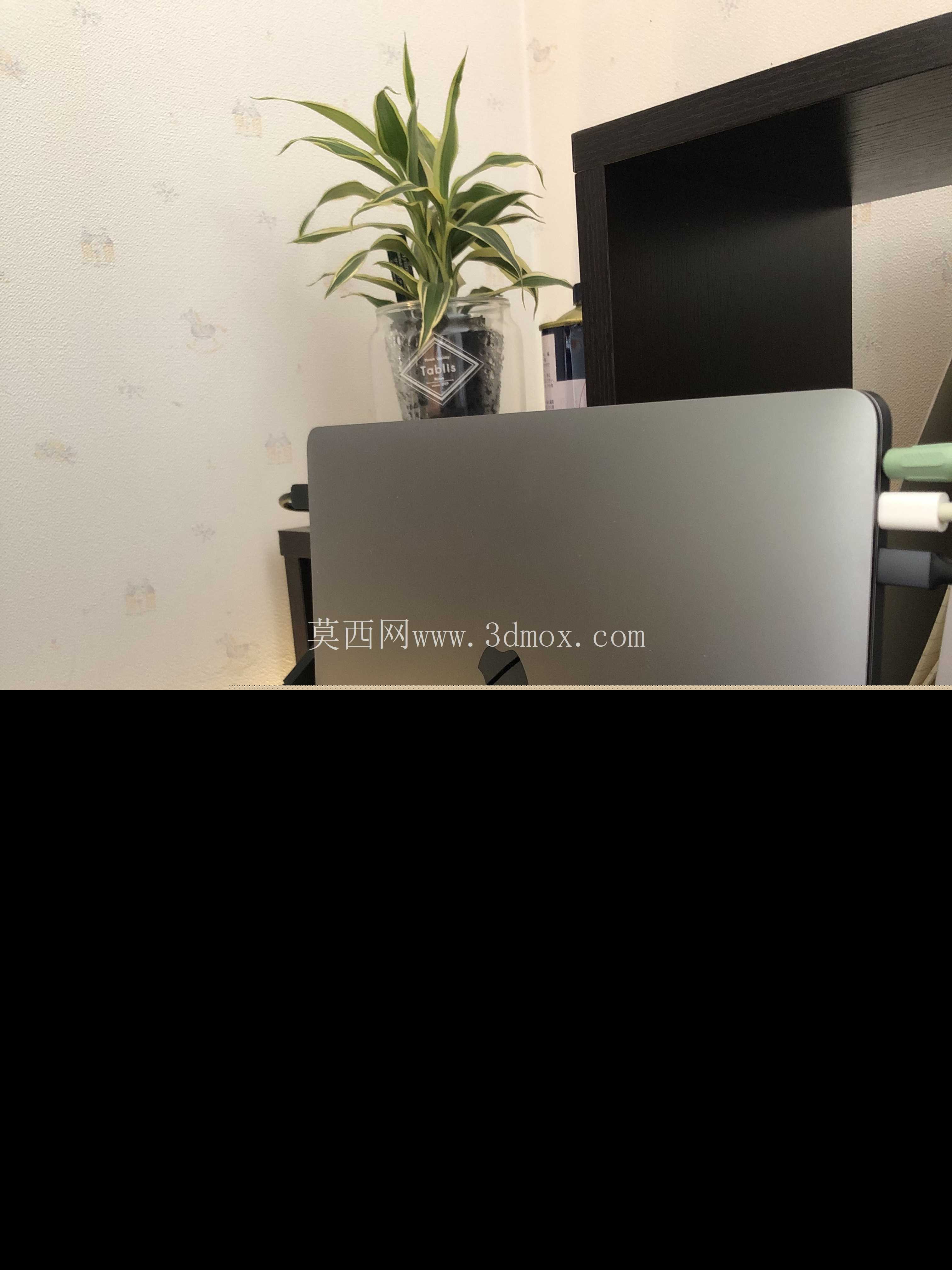 MacBook Pro ����֧��_2