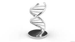 ����DNA-V3