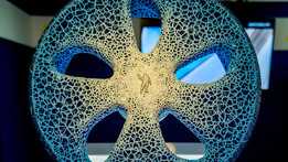 ������Tweel Lattice 3Dģ��