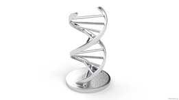 ����DNA-V1