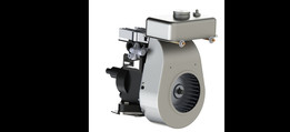 Motor Briggs Stratto