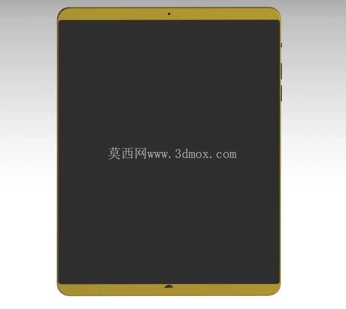 iPad ��ɫ