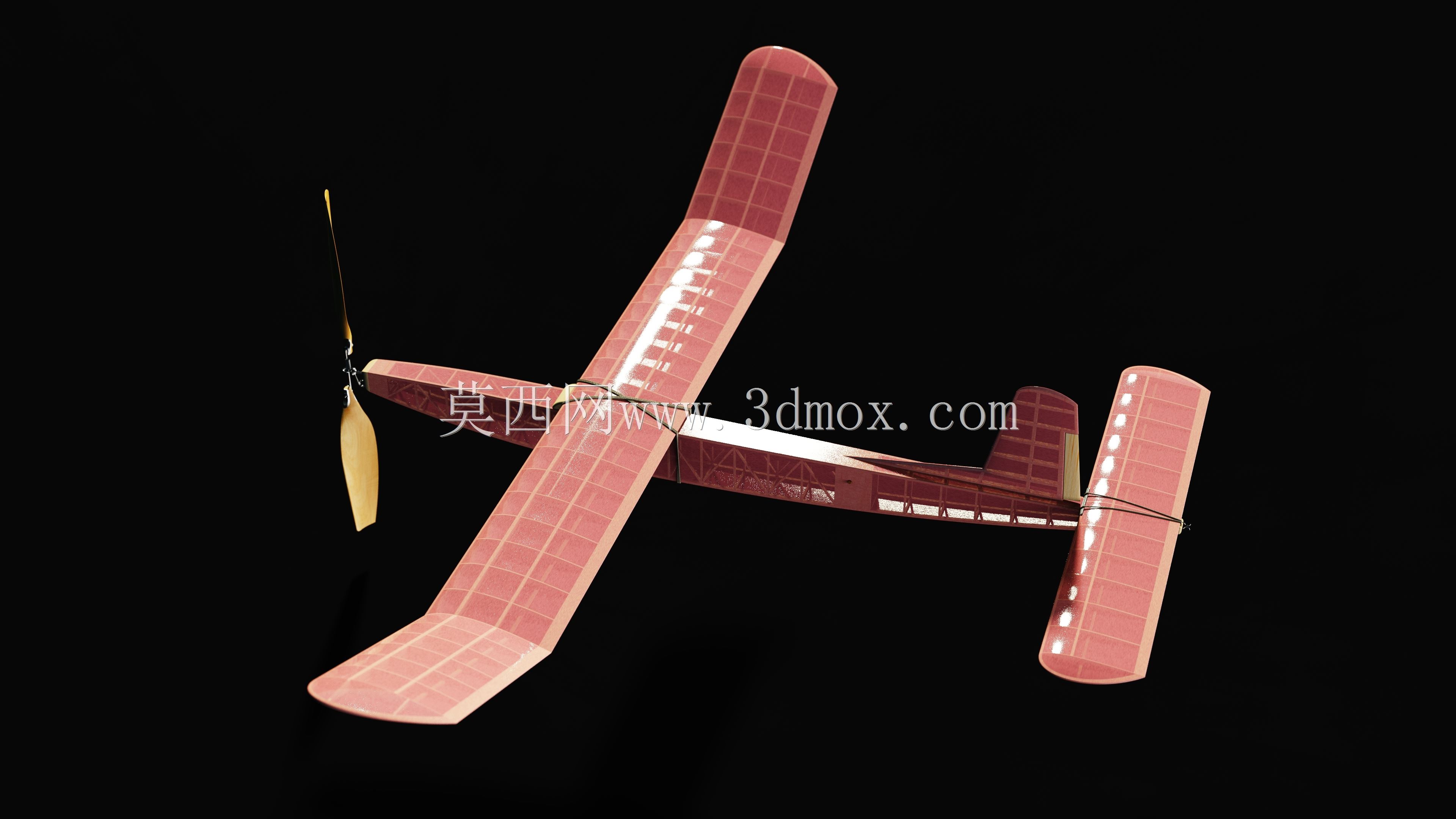 �𽺷������ɻ�ģ�� 1966 �ꡰ����������