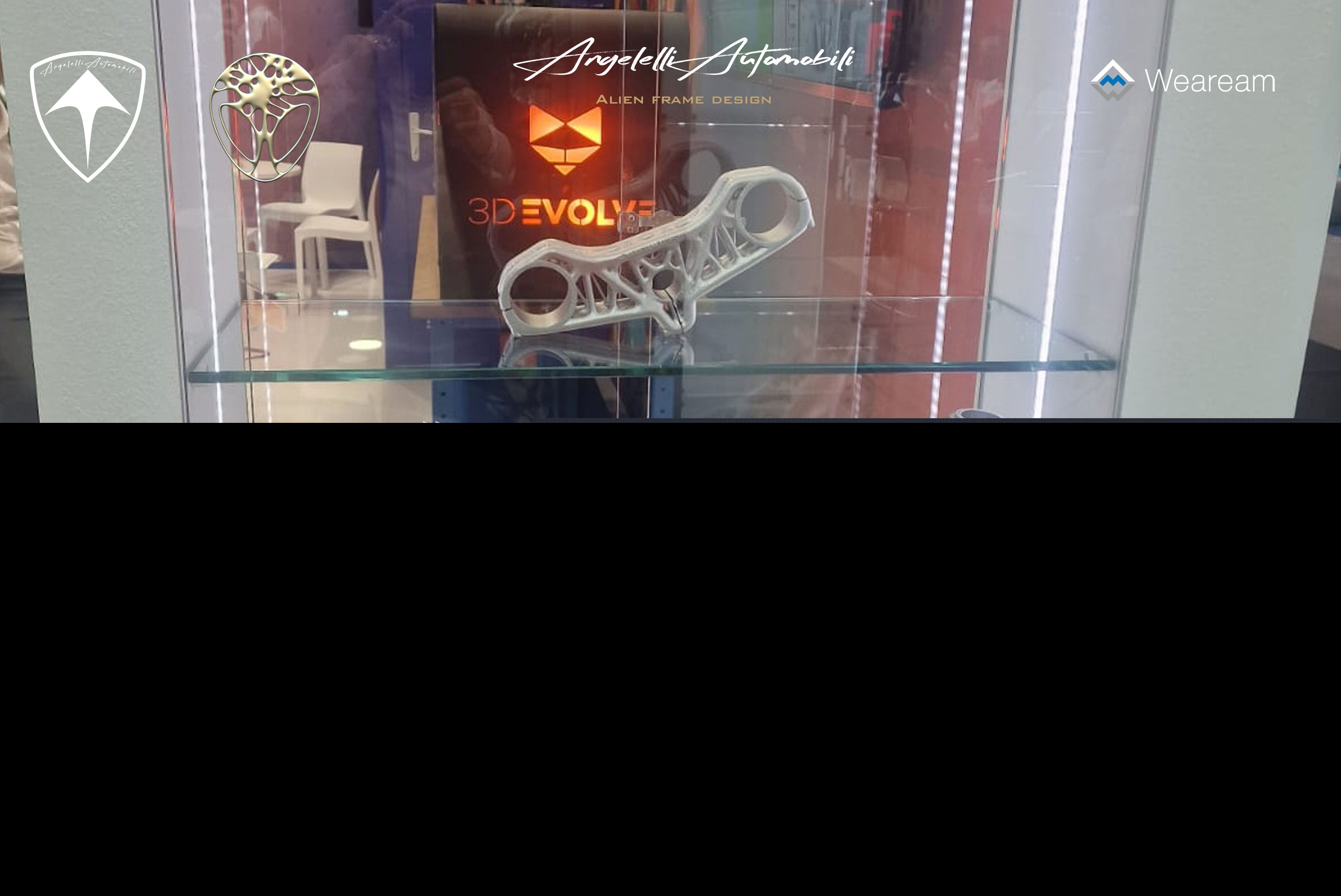 �ſ��� panigale V4 Organic ����������������� - ������������Ż�
