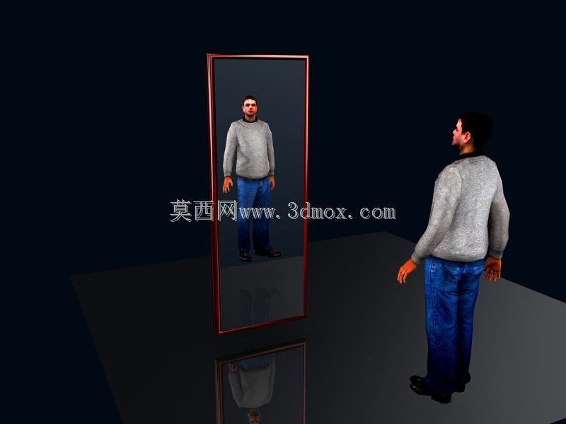 镜子 1 ERSIN