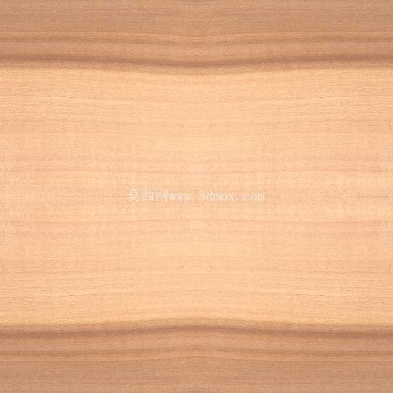��ģ��