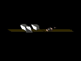 3D������鲼��ģ��