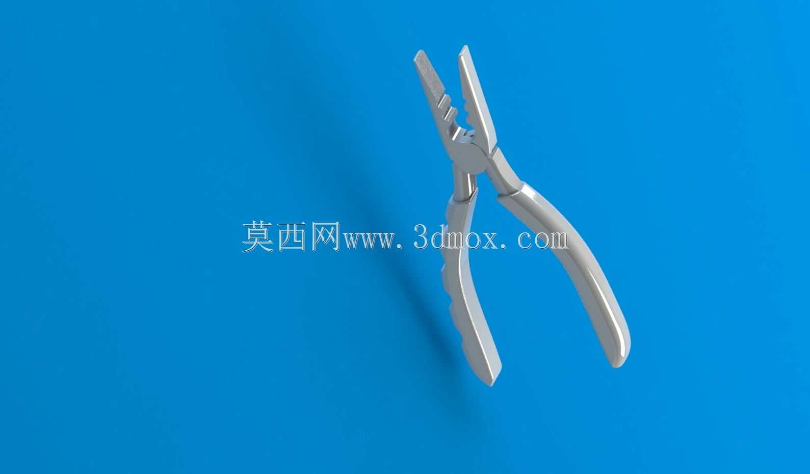 ǯ��
