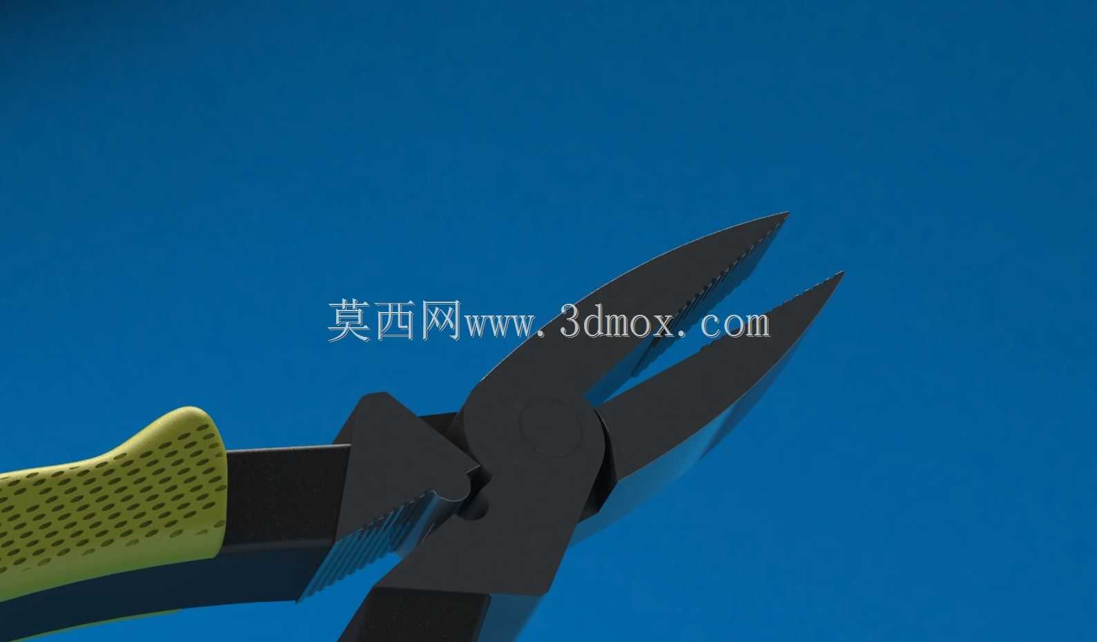 ǯ��
