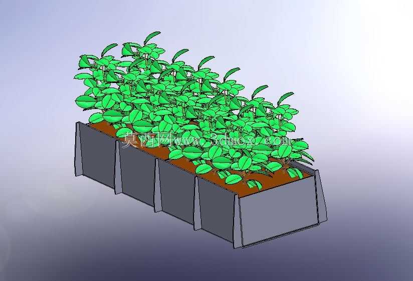 植物农场