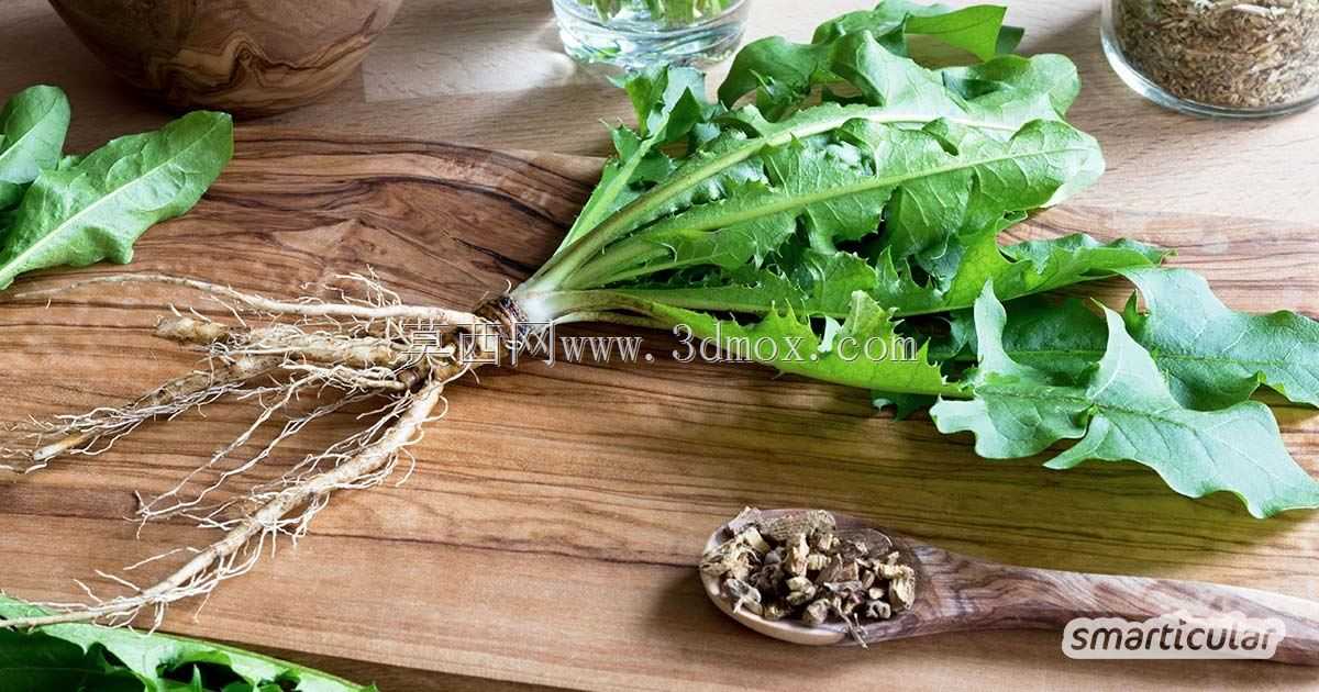 植物农场
