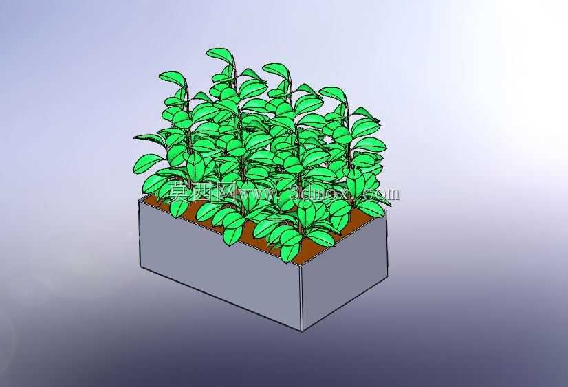 植物农场