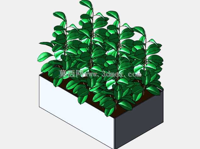 植物农场