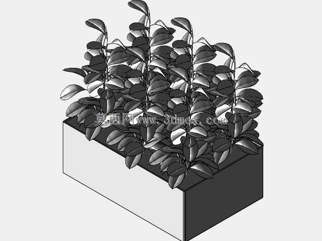 植物农场