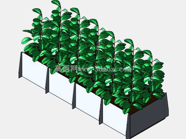 植物农场
