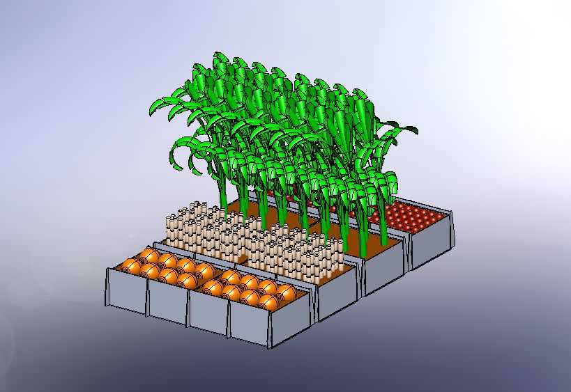 植物农场 7-椰子棕榈