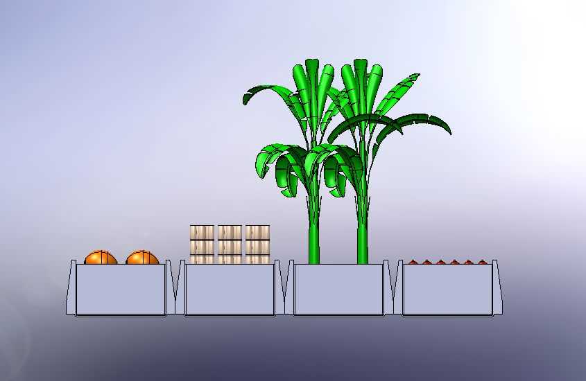 植物农场 7-椰子棕榈