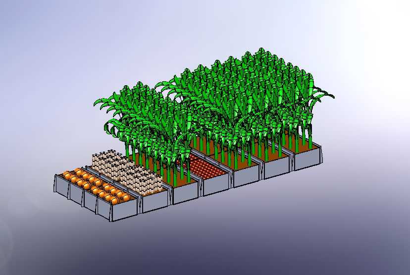 植物农场 7-椰子棕榈