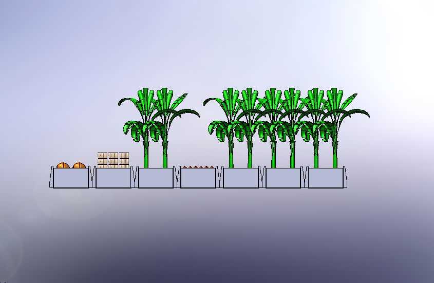 植物农场 7-椰子棕榈