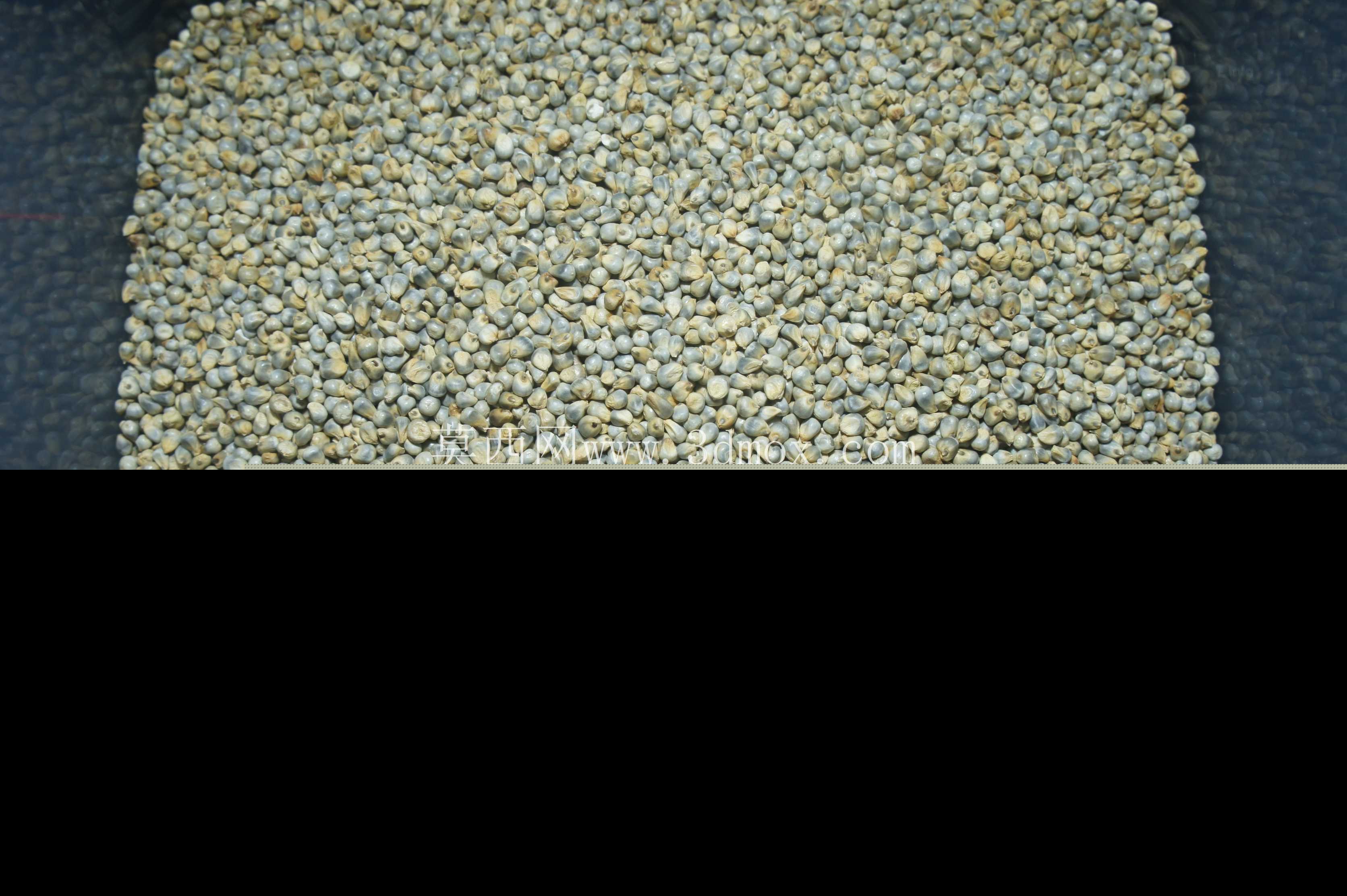 ֲ�����ϵͳ