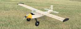 Bird Dog 2.0 RCģ�ͷɻ�