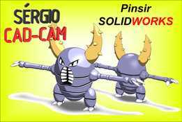 Pinsir���汦��