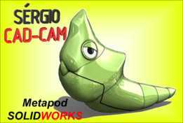 Metapod���汦��