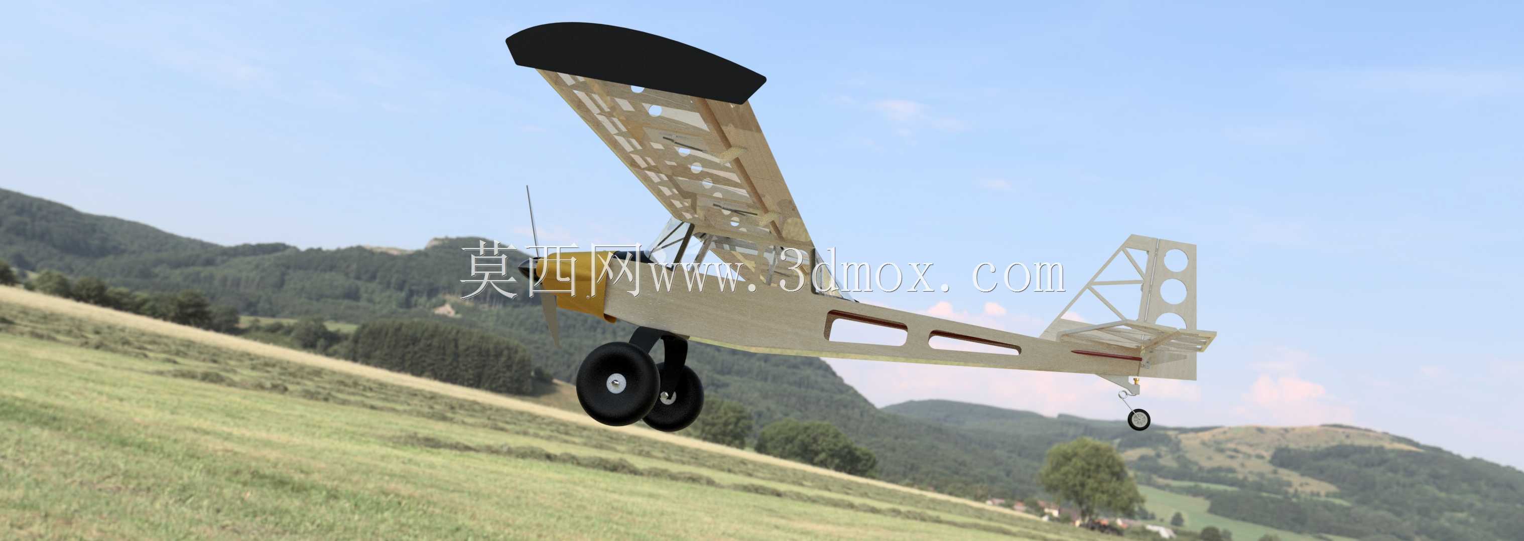 Bird Dog 2.0 RCģ�ͷɻ�